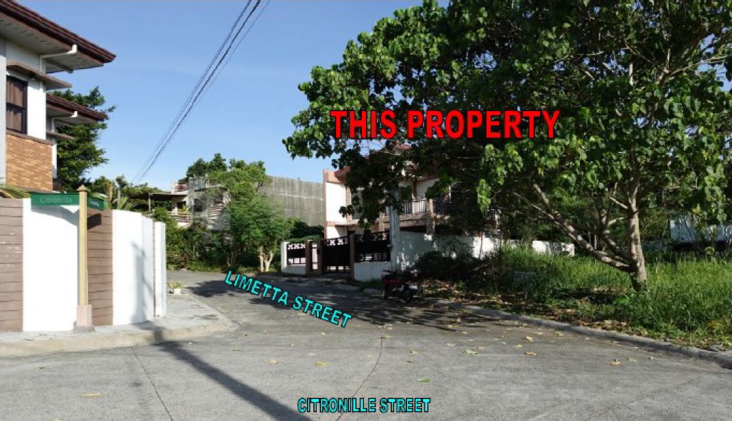 Brand New Residential House & Lot For Sale in Davao City, Davao Del Sur (178 sqm Lot Area) - Media Image Asset Panel Sub-No 2