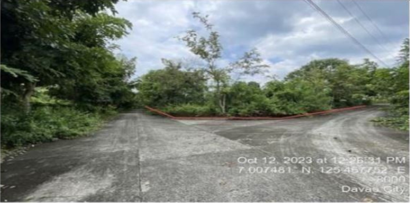 Foreclosed Residential Lot Only For Sale in Davao City, Davao Del Sur (312 sqm Lot Area) - Media Image Asset Panel Sub-No 2
