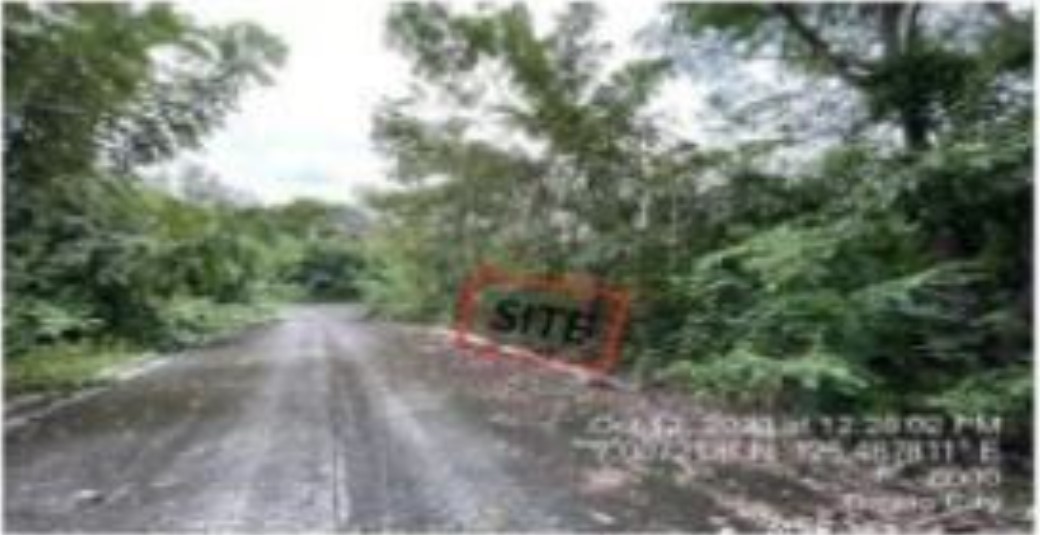 Foreclosed Residential Lot Only For Sale in Davao City, Davao Del Sur (312 sqm Lot Area) - Media Image Asset Panel Sub-No 3