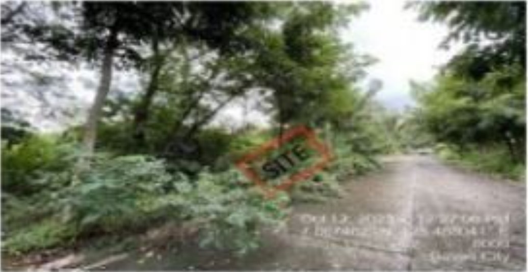 Foreclosed Residential Lot Only For Sale in Davao City, Davao Del Sur (312 sqm Lot Area) - Media Image Asset Panel Sub-No 4