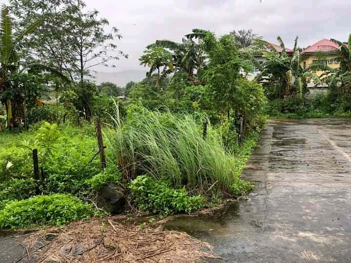 Brand New Residential Lot Only For Sale in San Mateo, Rizal - Media Image Asset Panel Sub-No 3