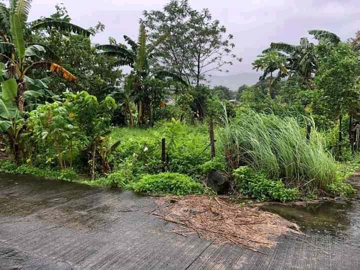 Brand New Residential Lot Only For Sale in San Mateo, Rizal - Media Image Asset Panel Sub-No 4