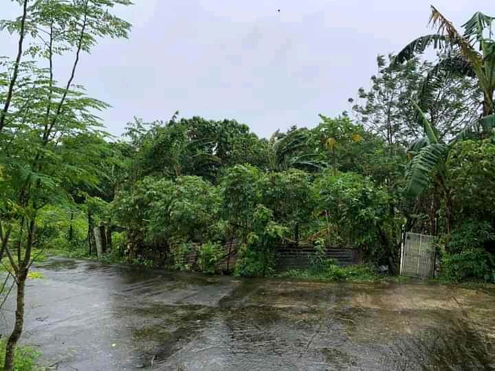 Brand New Residential Lot Only For Sale in San Mateo, Rizal - Media Image Asset Panel Sub-No 5