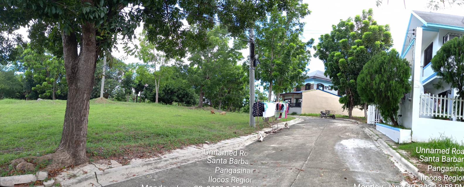 Foreclosed Residential Lot Only For Sale in Santa Barbara, Pangasinan - Media Image Asset Panel Sub-No 5