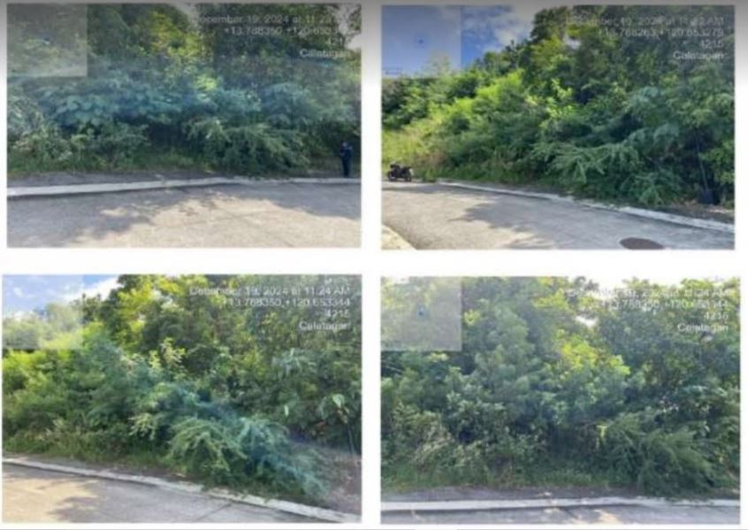 Foreclosed Residential Lot Only For Sale in Calatagan, Batangas - Media Image Asset Panel Sub-No 7