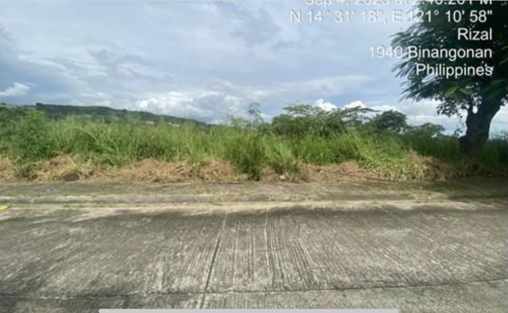 Foreclosed Residential Lot Only For Sale in Binangonan, Rizal - Media Image Asset Panel Sub-No 3