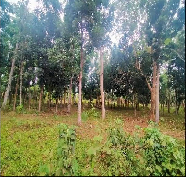 Foreclosed Residential Lot Only For Sale in Gingoog City, Misamis Oriental - Primary Display View Frame Location in Gingoog City, Misamis Oriental