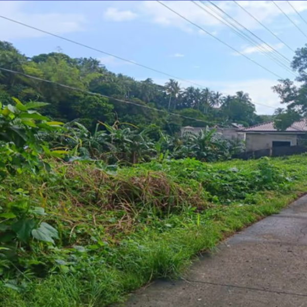 Foreclosed Residential Lot Only For Sale in Calbayog City, Western Samar - Primary Display View Frame Location in Calbayog City, Western Samar