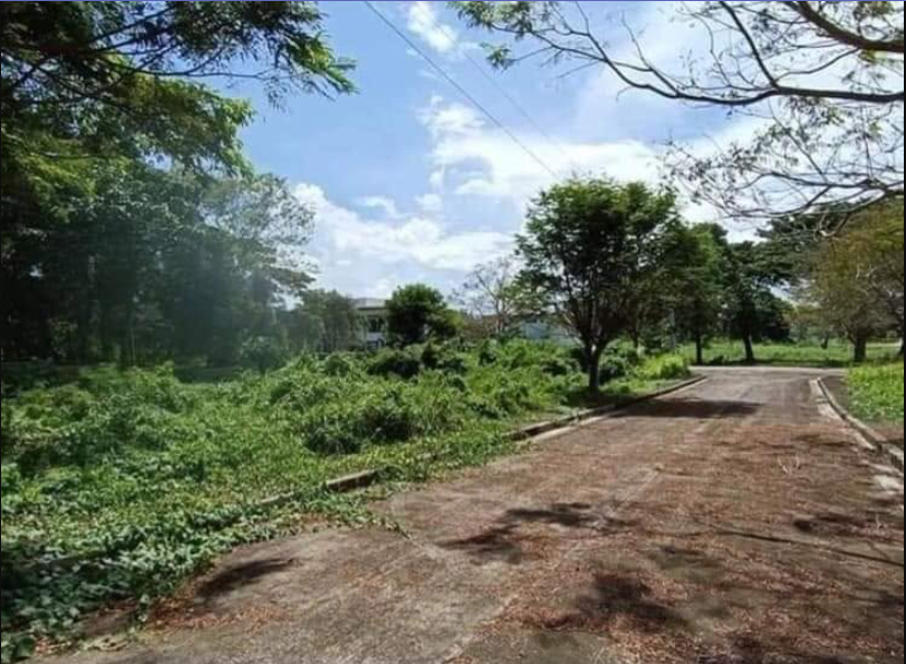 Foreclosed Residential House & Lot For Sale in Santa Barbara, Ilo ilo - Primary Display View Frame Location in Santa Barbara, Ilo ilo