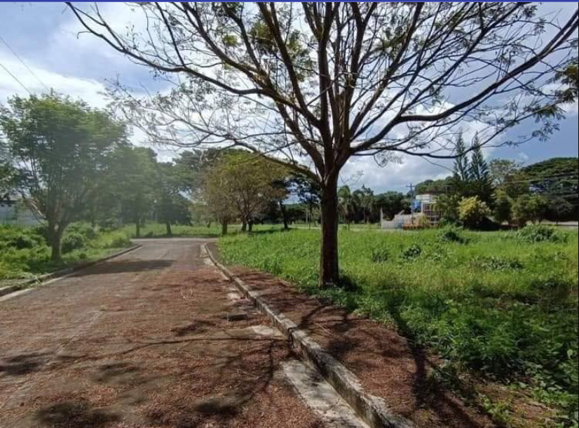 Foreclosed Residential House & Lot For Sale in Santa Barbara, Ilo ilo - Media Image Asset Panel Sub-No 2