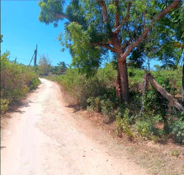 Foreclosed Residential Lot Only For Sale in Madridejos, Cebu - Primary Display View Frame Location in Madridejos, Cebu