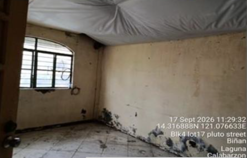 Foreclosed Residential Lot Only For Sale in Biñan City, Laguna - Media Image Asset Panel Sub-No 4