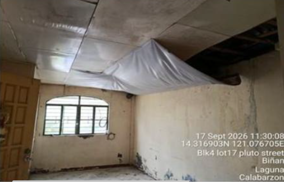 Foreclosed Residential Lot Only For Sale in Biñan City, Laguna - Media Image Asset Panel Sub-No 6