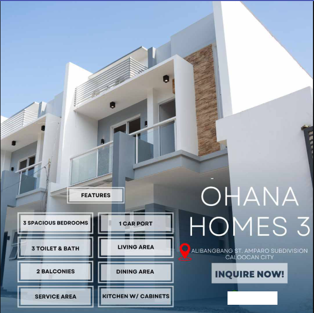 Brand New Residential House & Lot For Sale in Caloocan City, Metro Manila - Media Image Asset Panel Sub-No 2