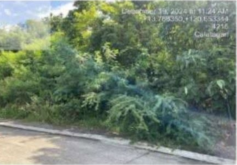 Foreclosed Residential Lot Only For Sale in Calatagan, Batangas - Media Image Asset Panel Sub-No 4