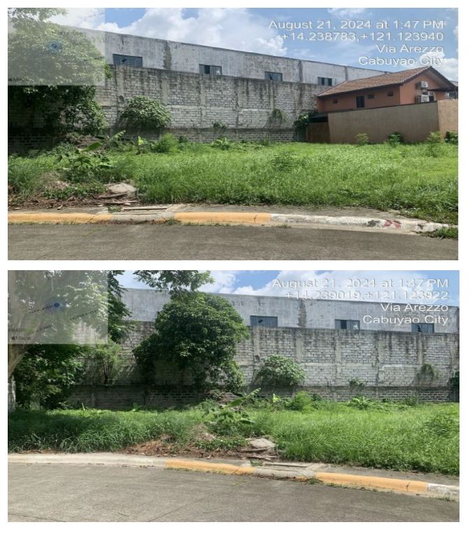 Foreclosed Residential Lot Only For Sale in Cabuyao City, Laguna - Media Image Asset Panel Sub-No 2